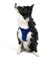 Air-mesh Harness Köpek Göğüs Tasması Lacivert 7