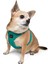 Air-mesh Harness Köpek Göğüs Tasması Yeşil 6