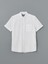 Yeni Sezon Regular Fit Keten Karisimli Erkek Gomlek - S56053Z8 5