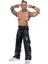 Karakterleri Model Aksiyon Figürler S9 Jeff Hardy 66 1