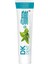 Dent Dk Vegan Nane Özlü Diş Macunu 75 ml Diş Fırçası 2