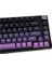 Epomaker HE75 Mag Black Purple Hall Effect Gateron Magnetic White Manyetik Switch Rgb Kablosuz Hotswap Mekanik Gaming Klavye 6