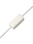 1 Ohm 5 Watt Taş Direnç 1