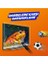 Coruıan Samsung 65Q60D Tv Ekran Koruyucu/ Ekran Koruma Paneli 5