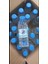Zemzem Suyu 250 ml 1