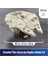 Star Wars Millennium Falcon 3D Model Seti 223 Adet 2