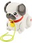HTW94 Fisher-Price Minik Dostumla Yürüyüş 1