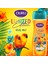 Limited Edition Tropical Bliss Duş Jeli 6x450 ml 2