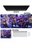 Ovozı Rgb 80×30CM Ekstra Büyük Fare ve Klavye Pedi (Yurt Dışından) 1