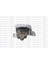 Motor Takozu (Yaglı) Ford Focus Iıı 11>17 C-Max 11>17 Conncet 14> 1.0-1.5 L Ecoboost Benzınlı 1