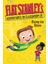 Flat Stanley's Adventures In Classroom 2e #2: Riding The Slides 1