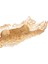 Elite Roland Gold Dekoratif Tabak 38CM 1 Adet 5