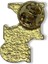 Lisanslı Ks Rozet Gold 2