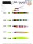 3D Saiko Slim Jig 30GR C006 2
