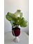 Calathea Orbifolia-Kalatya Dua Çiçeği Iç Mekan Bitkisi 1