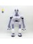 The Wild Robot Plush Vahşi Robot Film Çevresel Peluş Bebek (Yurt Dışından) 1