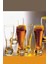 Weizenberg 6 Lı Bira Bardağı 415 cc 42116 2