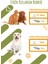 Ease Off 120G Chew Tablet Köpekler İçin Yolculuk Stresi Azaltma Desteği 3