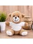 Peluş Ayıcık 1