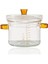 Buenos Termisil Cam Tencere 450 ml 10 cm P450 1