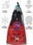 Sea Star Termo Materyalli Konforlu Unisex Yüzücü Paleti 38-39 Numara 2