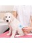 Buffer® Kedi Köpek Tüy Toplayıcı Kendini Temizleyebilen Ergonomik Saplı Evcil Hayvan Tarağı Mavi 5