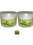 Bamya Tohumu Kremi Vücut Sızıları Için Krem 100 ml x 2 / 7days Slimming Cream Vücut Bakım Kremi 100 ml 1