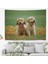 Tatlı Köpekler Yavrusu Golden Duvar Örtüsü Halısı Duvar Sanatı Duvar Dekorasyonu Dekoratif Tapestry 2