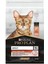 Adult Somonlu Yetişkin Kedi Maması 10 kg 1
