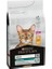 Adult Tavuklu Yetişkin Kedi Maması 3 kg 2