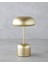 Blanca Dekoratif Aydınlatma 27 cm Gold 1