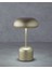 Blanca Dekoratif Aydınlatma 27 cm Gold 2