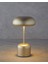 Blanca Dekoratif Aydınlatma 27 cm Gold 3