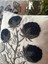 Flores Kırlent 2 Adet (40X40 Cm) 1