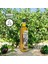 Soğuk Sıkım Natürel Sızma Zeytinyağı Sarımsak Aromalı 500 ml 0,5 Asit 1