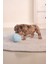 Beeztees Yavru Köpek Oyuncağı, Top, Peluş, Mavi, 10CM 2