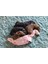 Beeztees Yavru Köpek Oyuncağı, Flamingo, Peluş, Pembe, 43X24X4CM 3