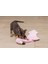 Beeztees Yavru Köpek Oyuncağı, Flamingo, Peluş, Pembe, 72X27X5CM 3