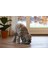 Beeztees Yavru Köpek Mama Yeme Oyuncağı, Silikon, Yeşil, 19CM 5