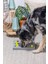 Beeztees Köpek Zeka Geliştirme Oyuncağı, 28X28X4,5CM 2