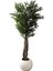 Yapay Zeytin Ağacı 170 cm 1