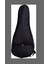 Mandolin Elyapımı 2