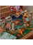 Böceklerin Dünyası-Ikisi Bir Arada Puzzle ve Kitap 4