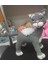 Amigurumi Kedi 3