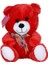 1181KR Selay, Kırmızı Oturan Ayı 30 cm 1
