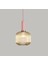 Rustik Dekoratif Metal Modern Pudra Somon Opal Bal Camlı Tekli Avize 1