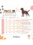 Kedi Köpek Kışlık Kıyafet – Gökkuşağı Pembe Yağmurluk 2