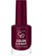 Oje - Color Expert Fall & Winter 421 - 1 Adet 1