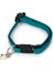 Yavru Kedi Tasması 23 cm Yeşil Drstr 1