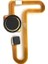 Xiaomi Redmi Note 8 Home Flex Parmak Izi Okuyucu M1908C3JG 2